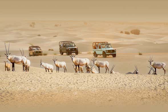 Desert Safari pelo Oásis de Al Marmoom de 4x4 vintage