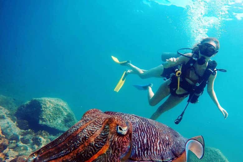 Mergulhando nas águas de Dibba Al-Fujairah