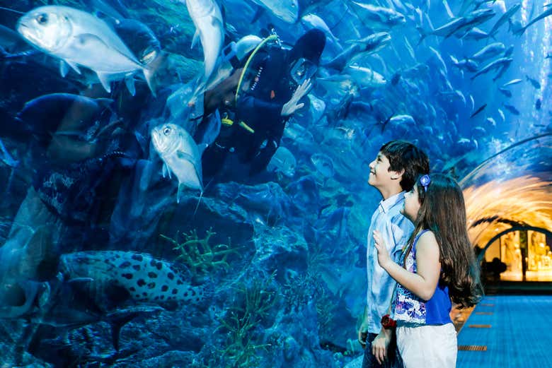 Dubai Aquarium & Underwater Zoo
