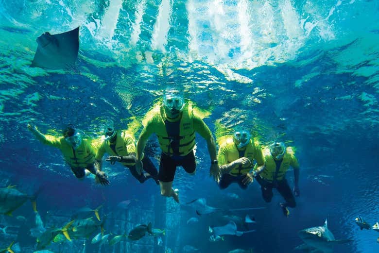 Snorkel no Aquaventure Waterpark